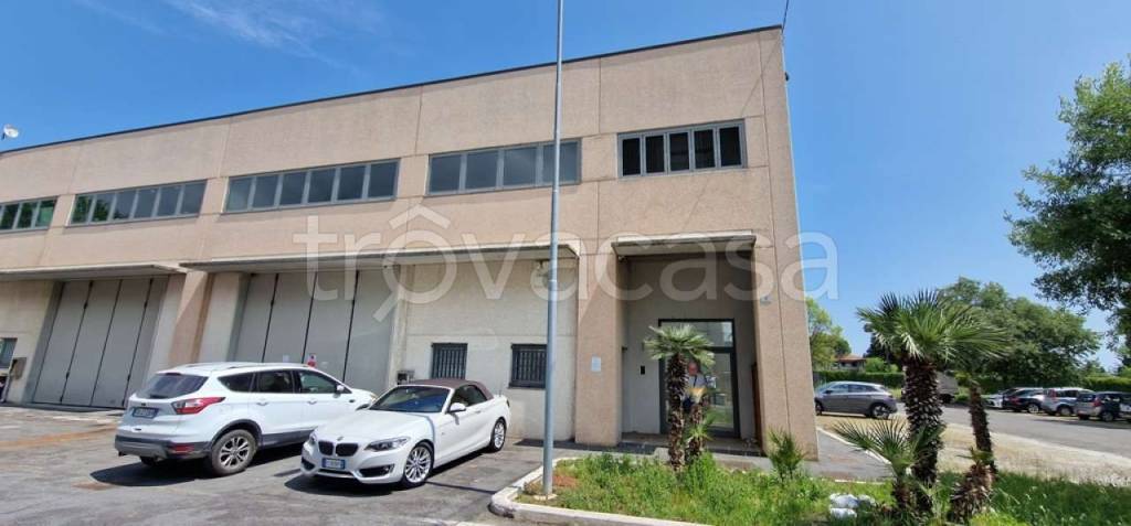 immagine annuncio 3 di 13