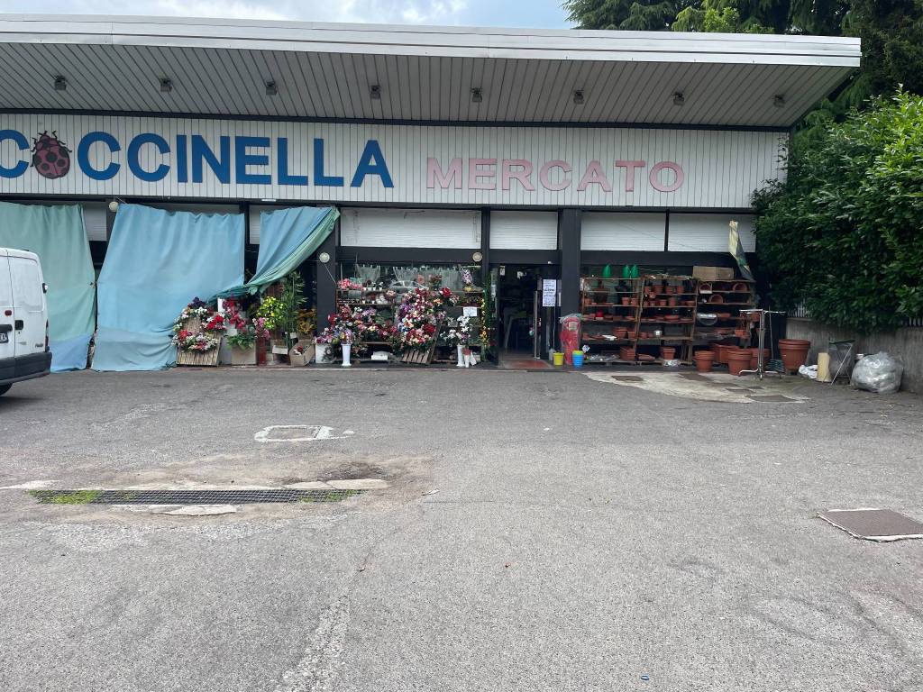 immagine annuncio 2 di 8