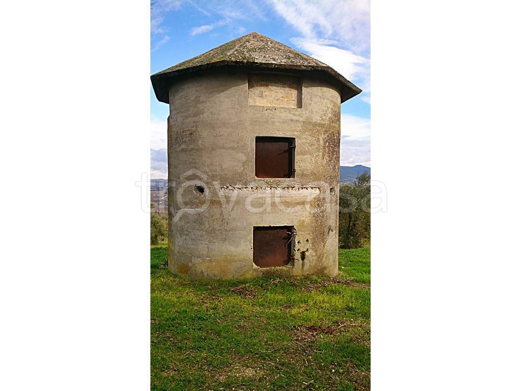 immagine annuncio 4 di 12