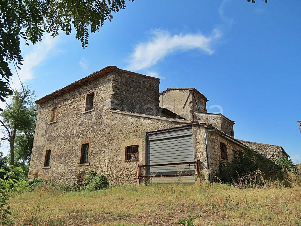 immagine annuncio 9 di 12