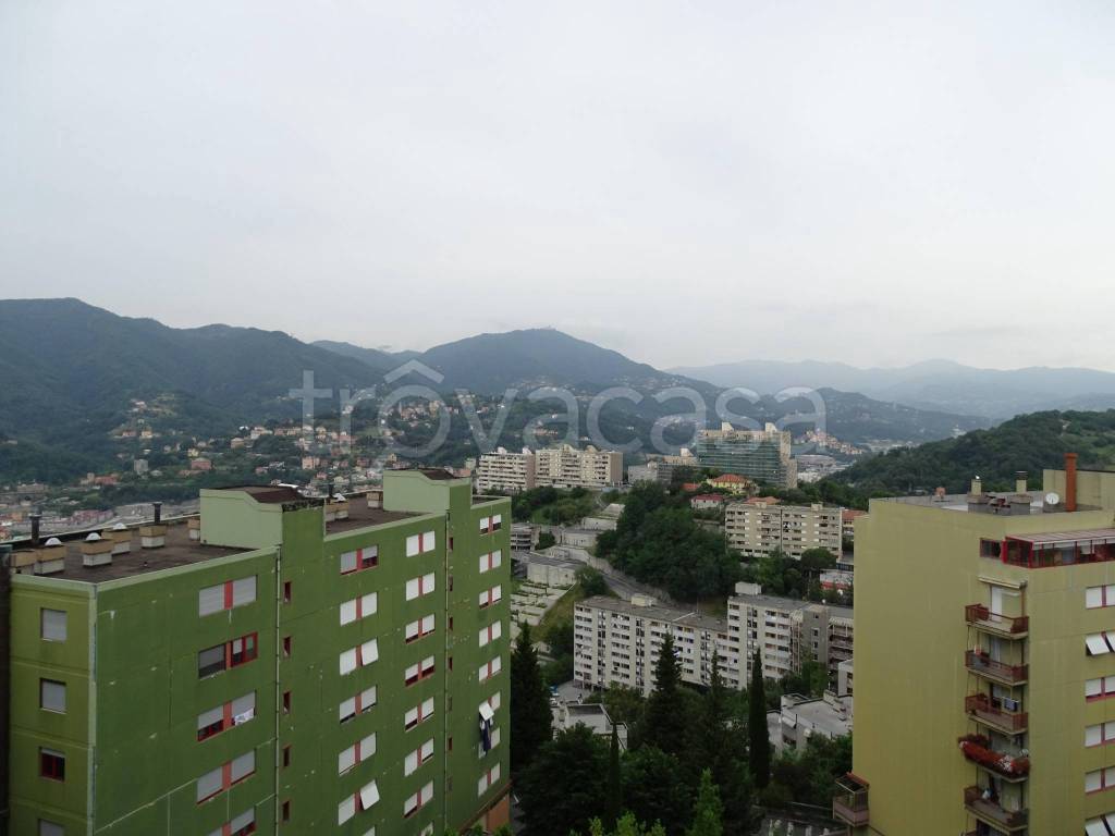 Appartamento in vendita a Genova via alla Costa di Begato