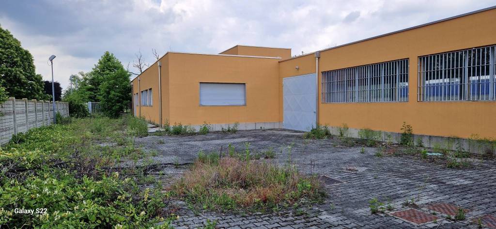 immagine annuncio 11 di 15