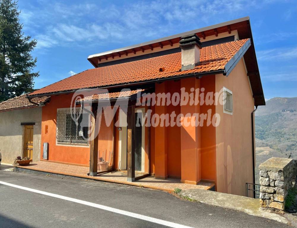 Villa in vendita a Cesio via Roma, 4