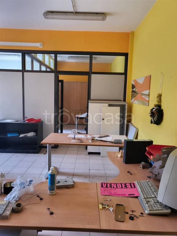 immagine annuncio 5 di 9