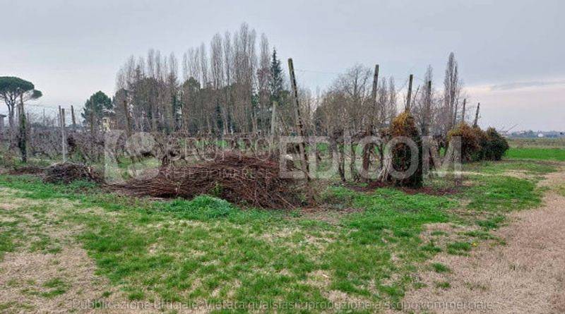 Terreno Agricolo in vendita a Ravenna accessibile sia dalla Via Budria che dalla Via Castello