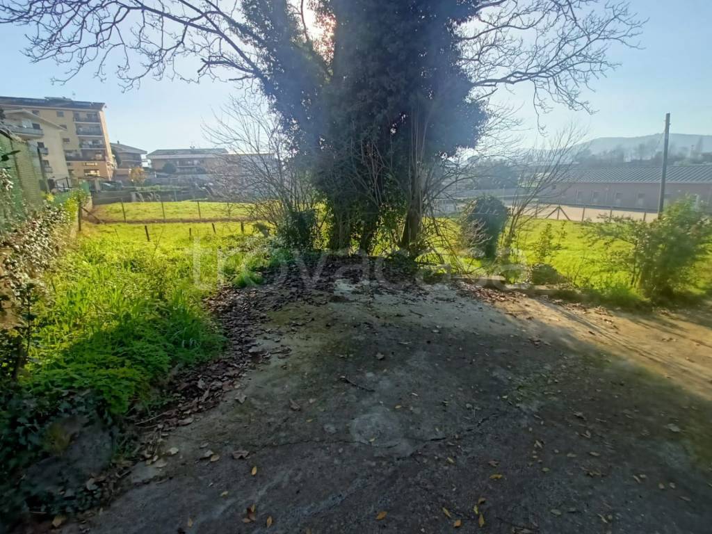 immagine annuncio 2 di 4