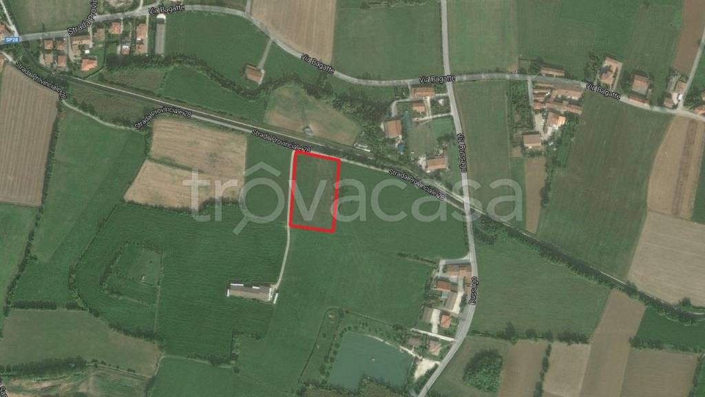 immagine annuncio 5 di 10