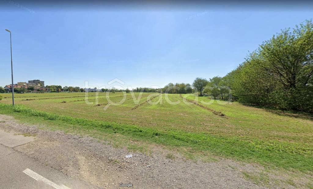 immagine annuncio 5 di 7