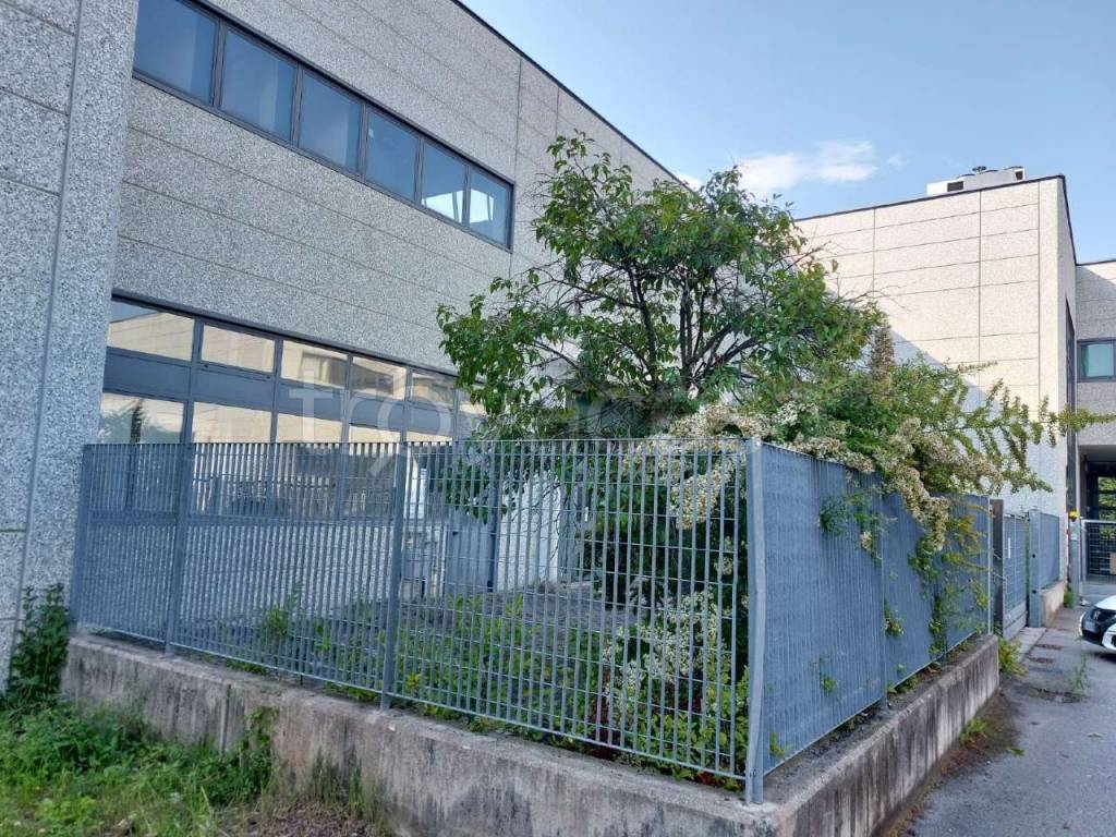 immagine annuncio 2 di 12