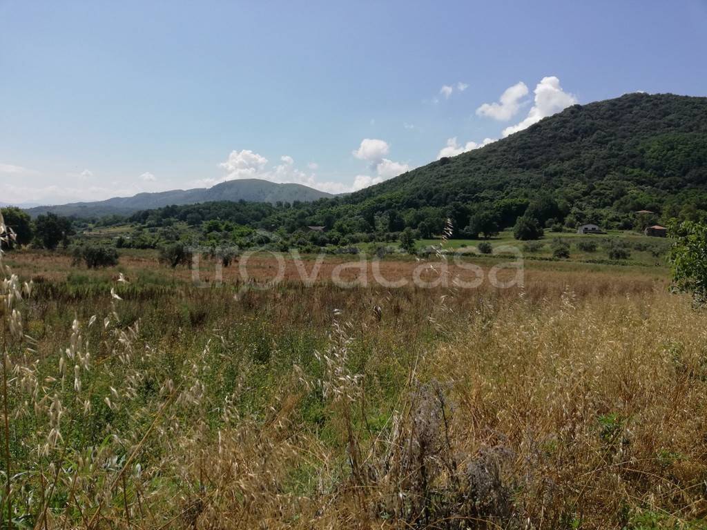 Terreno Agricolo in vendita a Caiazzo strada Provinciale Villanova Cesarano