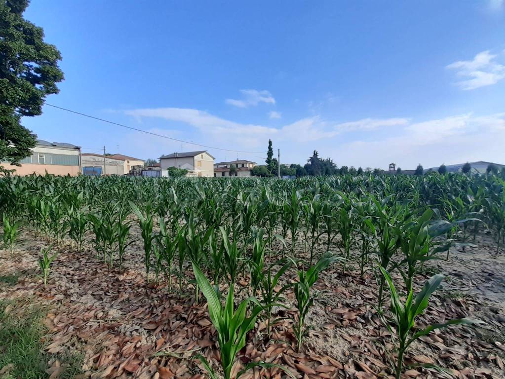 Terreno Agricolo in vendita a Cento via Zigalotto, 17