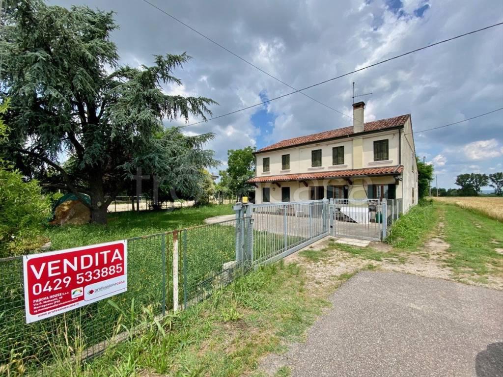 Casa Indipendente in vendita a Montagnana via matteotti, 38