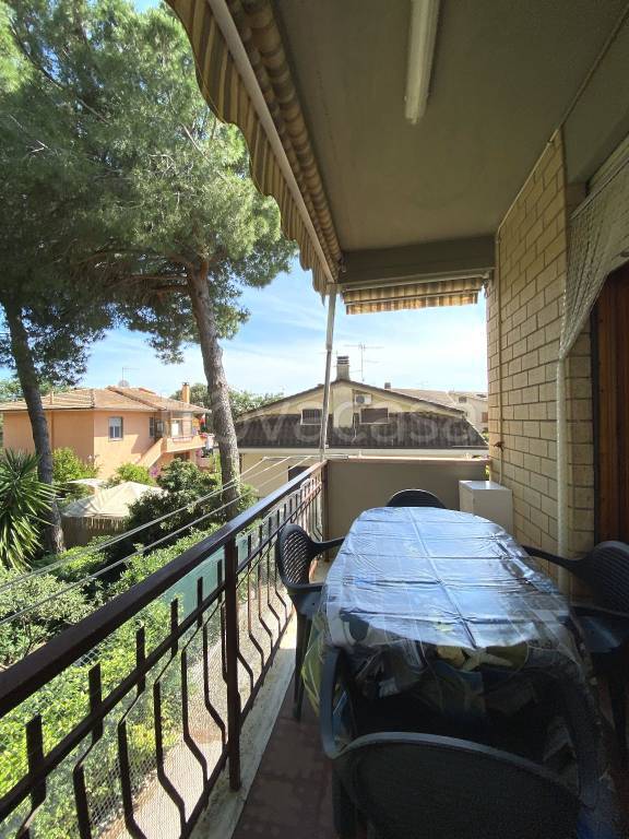 immagine annuncio 5 di 12