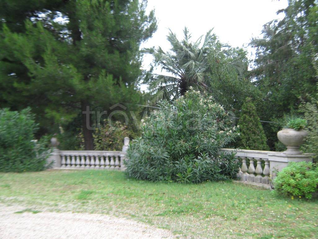 immagine annuncio 1 di 7