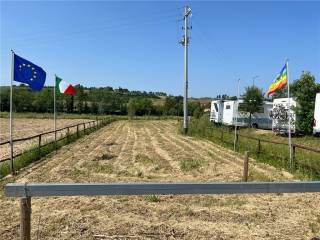 Terreno agricolo in affitto a scandicci 