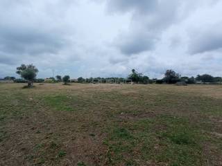 Terreno agricolo in vendita a siracusa traversa masseria gargallo, snc