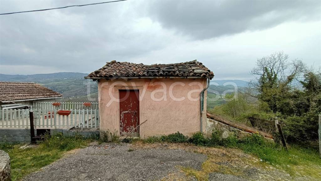 immagine annuncio 4 di 9