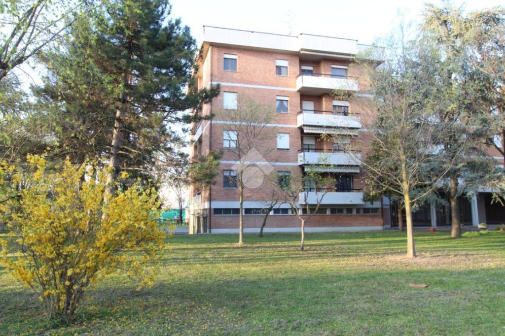 Appartamento in vendita a Cadelbosco di Sopra via m. Buonarroti, 28