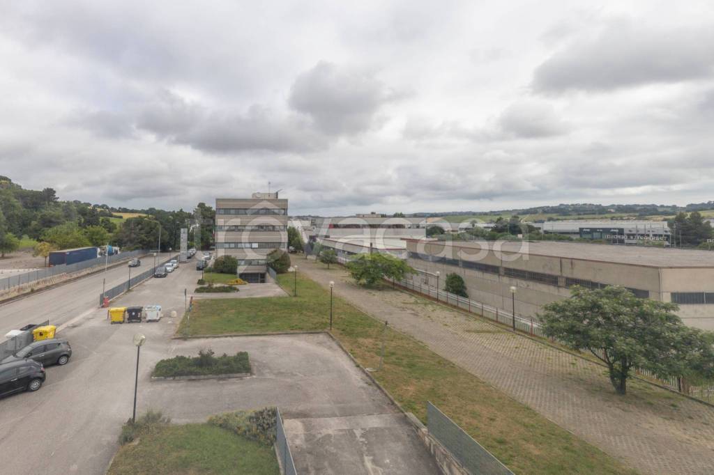 immagine annuncio 9 di 13