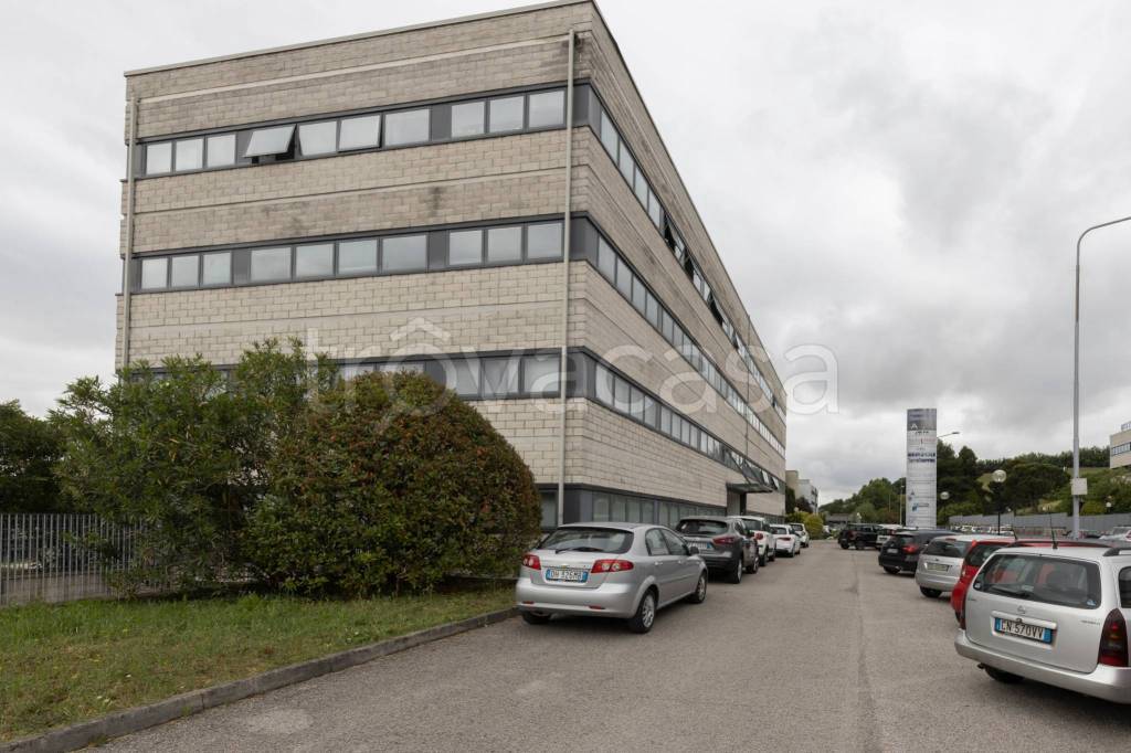 immagine annuncio 10 di 13