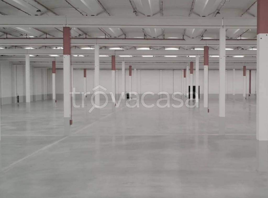 immagine annuncio 2 di 3