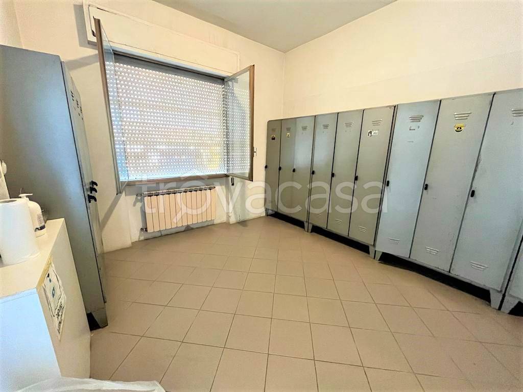 immagine annuncio 6 di 12