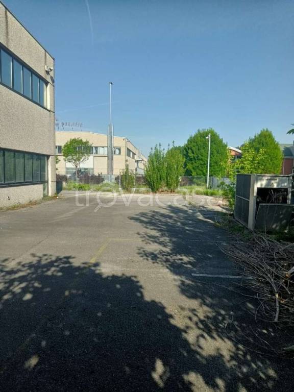 immagine annuncio 6 di 15