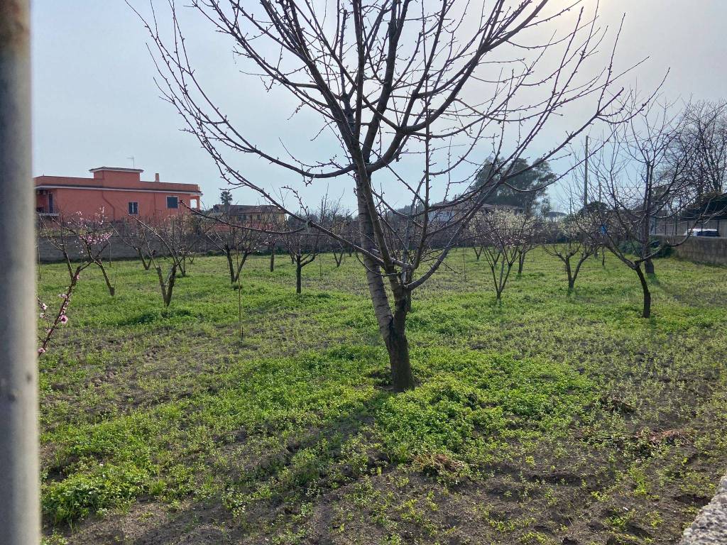 Terreno Agricolo in vendita a Giugliano in Campania via Vicinale Rannola