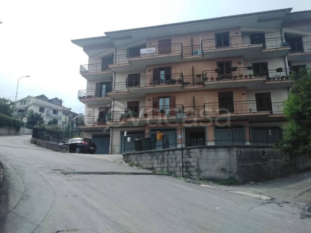 immagine annuncio 9 di 12