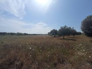 Terreno agricolo in vendita a siracusa strada benali, snc