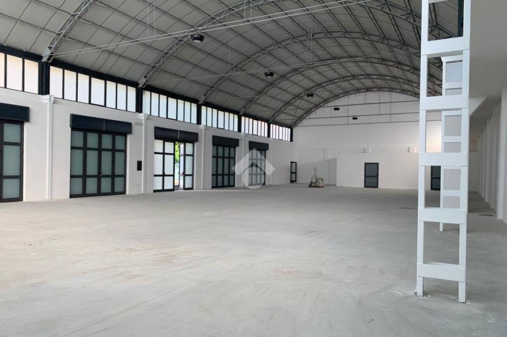 immagine annuncio 4 di 7