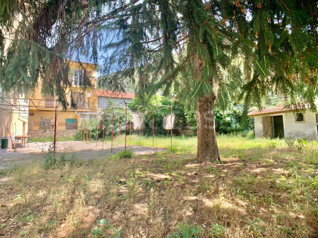 immagine annuncio 5 di 12