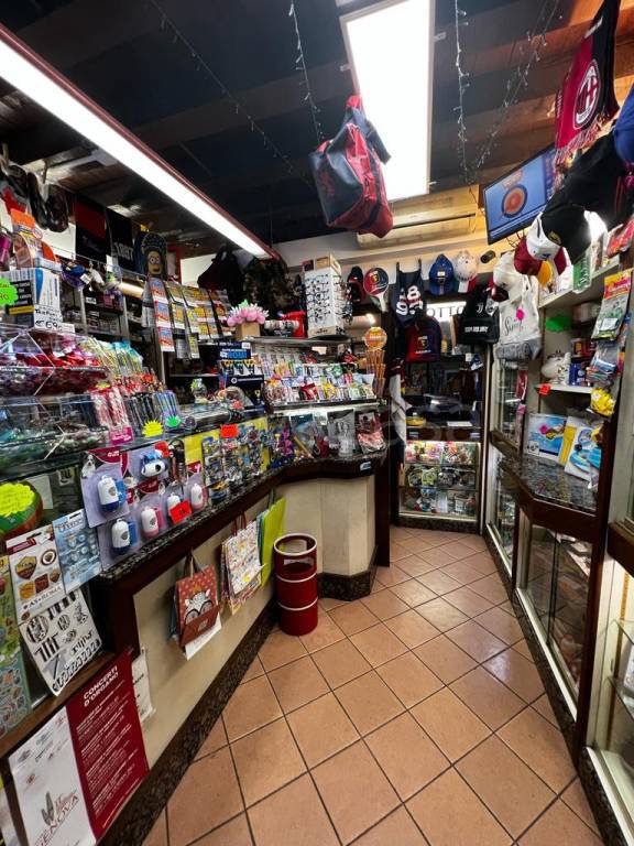 immagine annuncio 3 di 14