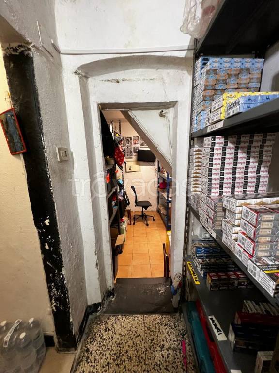 immagine annuncio 11 di 14