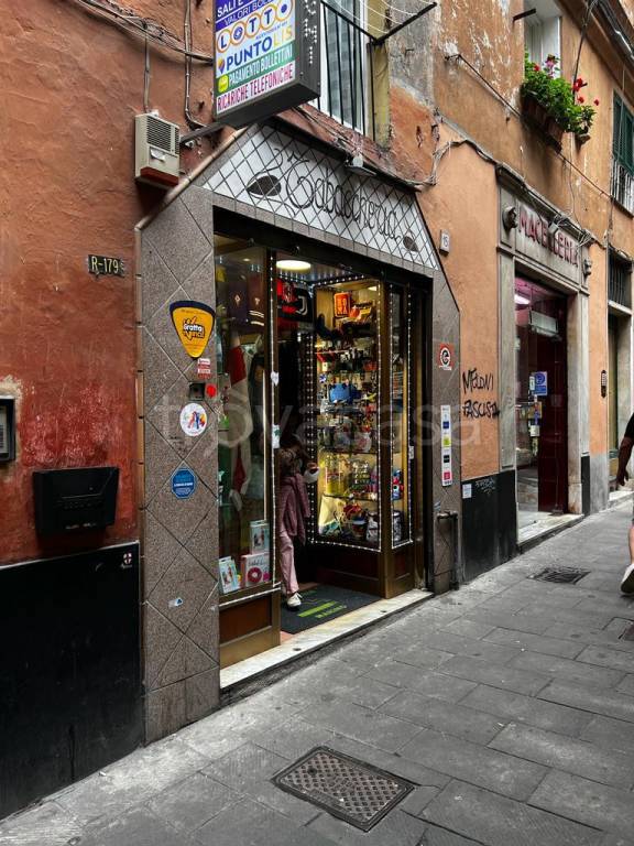 immagine annuncio 12 di 14