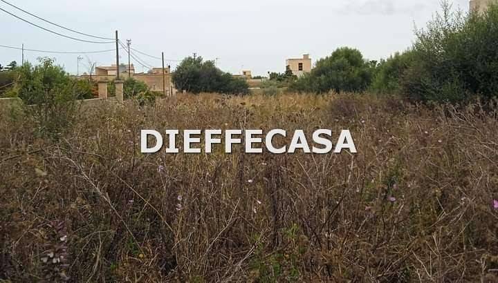 immagine annuncio 3 di 6