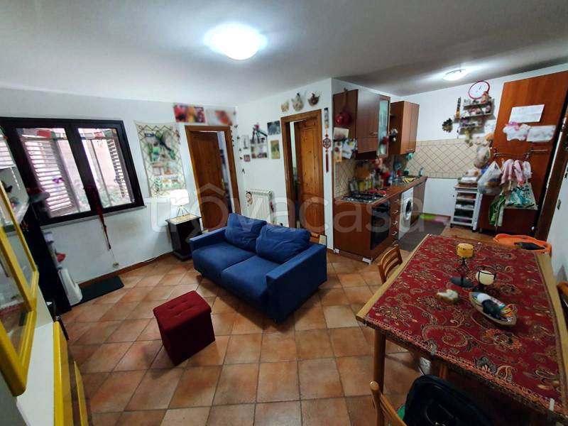 immagine annuncio 9 di 14