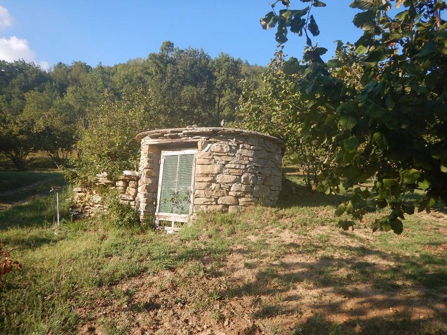 immagine annuncio 3 di 14