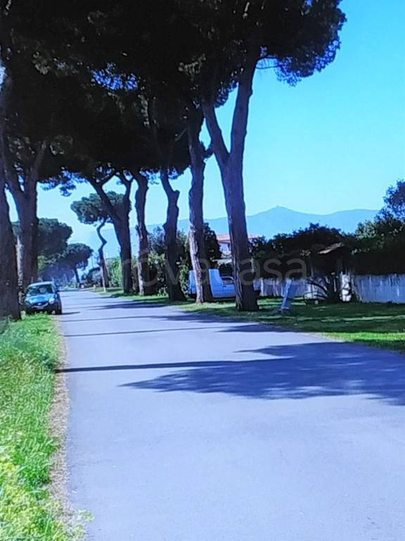 immagine annuncio 3 di 14
