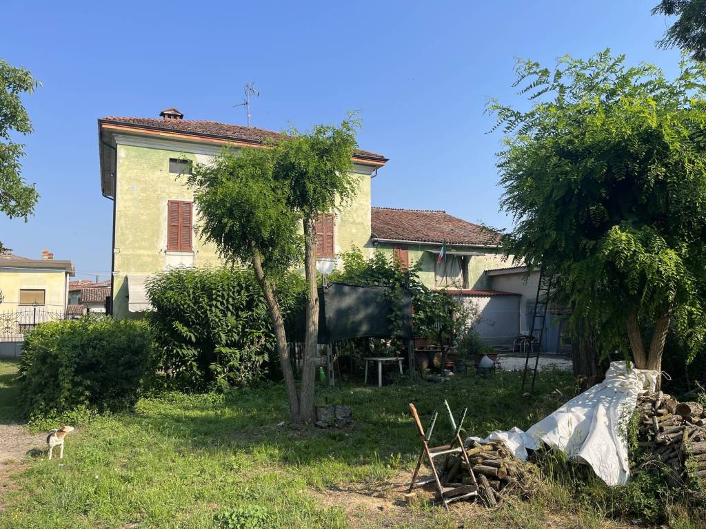 immagine annuncio 1 di 15