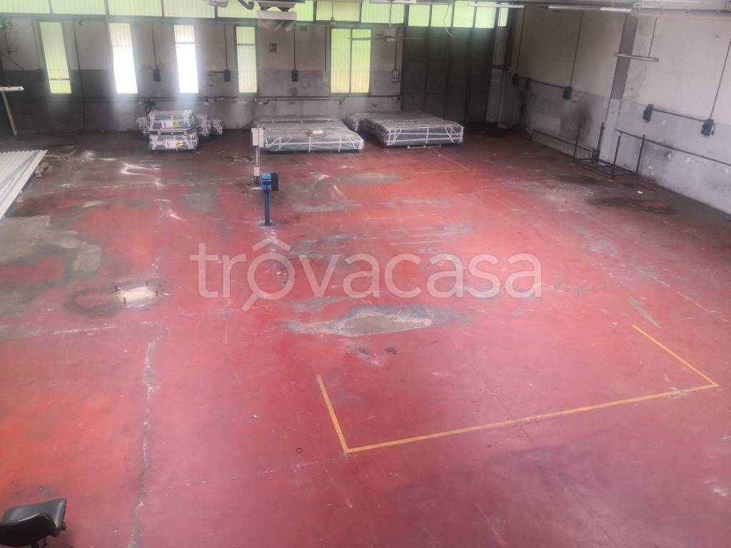 immagine annuncio 8 di 12