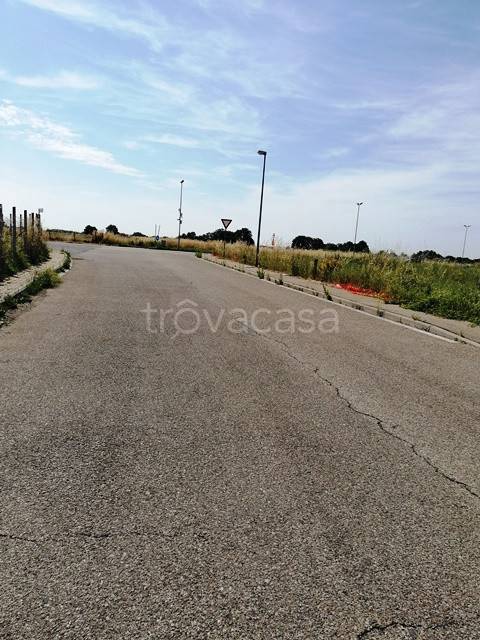 immagine annuncio 4 di 6