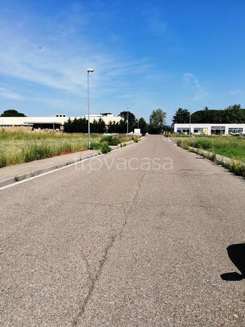 immagine annuncio 5 di 6