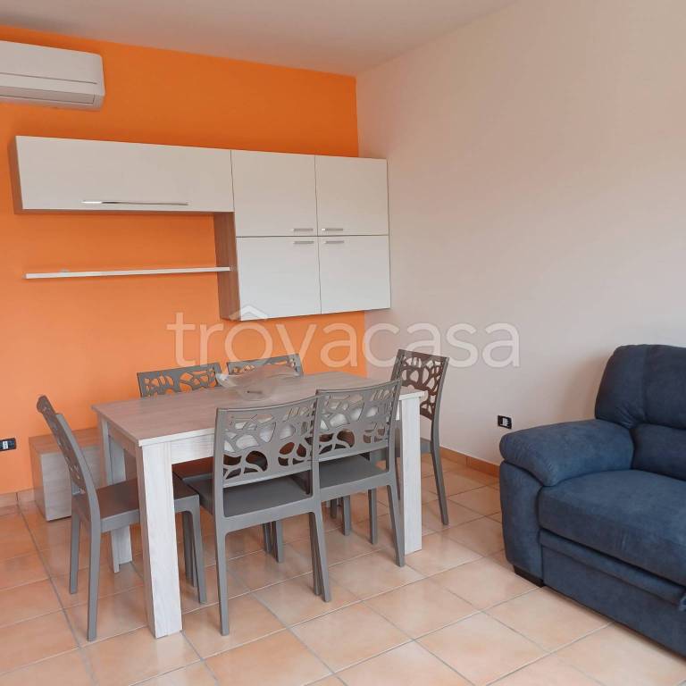 immagine annuncio 1 di 14