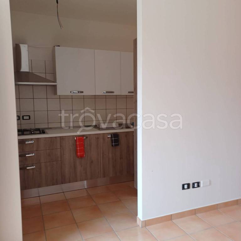 immagine annuncio 4 di 14