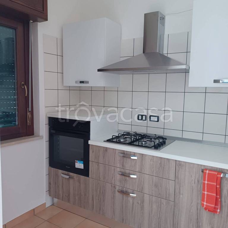 immagine annuncio 6 di 14