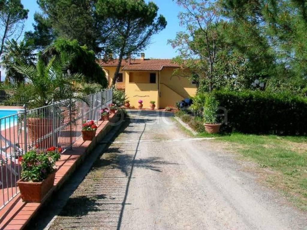 immagine annuncio 2 di 8