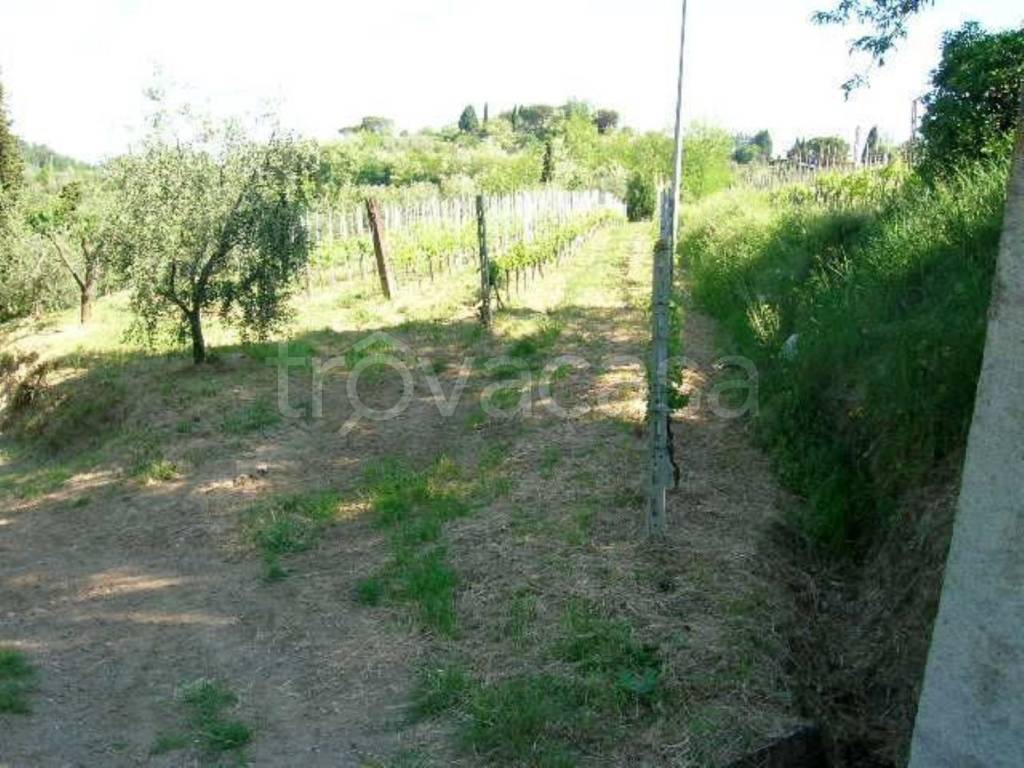 immagine annuncio 4 di 8
