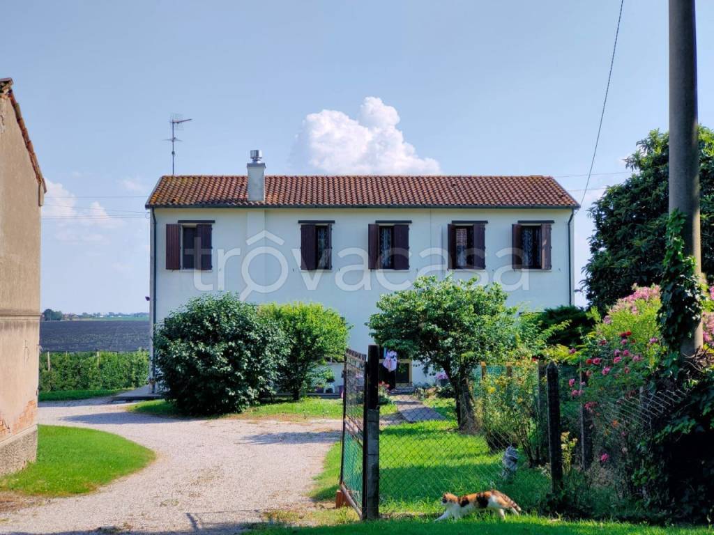 Villa in vendita a Pincara via Ghirardini