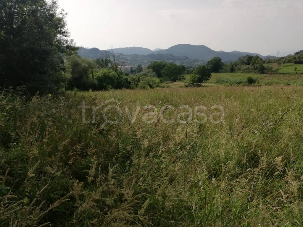 Terreno Agricolo in vendita a Caiazzo via Marzio Mirto, 2